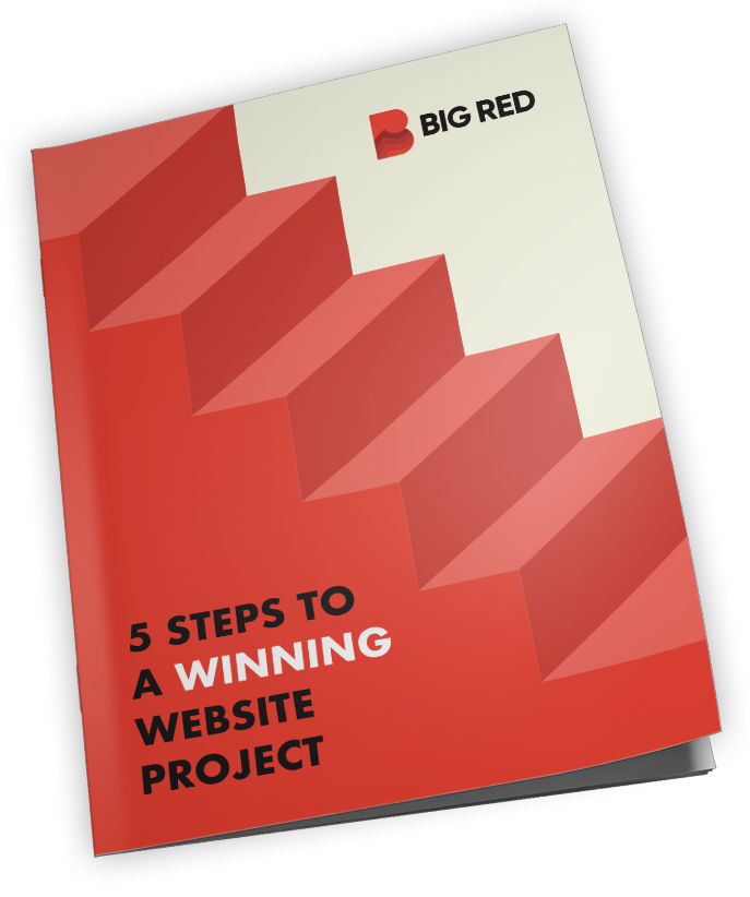 5 steps to winning a website project